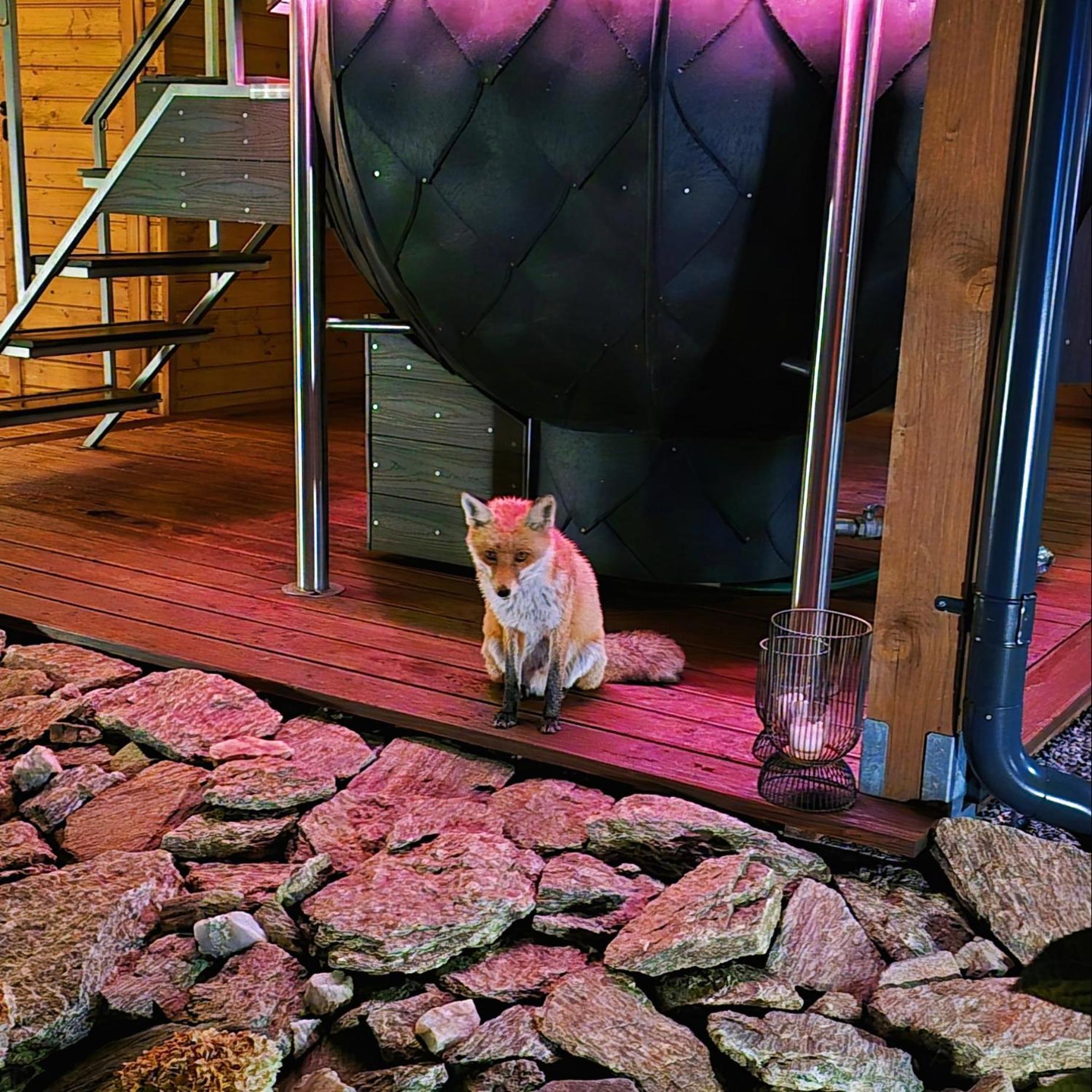 Osada Orlica Klimatyczne Domki Z Widokiem Na Gory I Termalnym Spa Sauna Jacuzzi 4 Km Od Zieleniec Ski Arena Lasowka Exterior foto